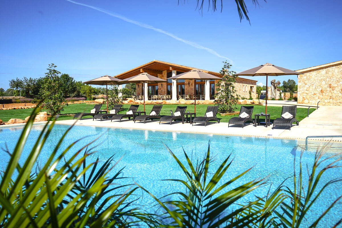 VMG Horse Ranch
